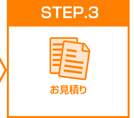 STEP3 ς