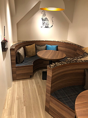 写真1。猫カフェで使用するソファーをオーダーメイド製作